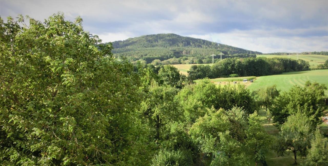 Ferien-Messe-Handwerkerwohnung-Haustiere Willkommen Lauf an der Pegnitz Exteriér fotografie