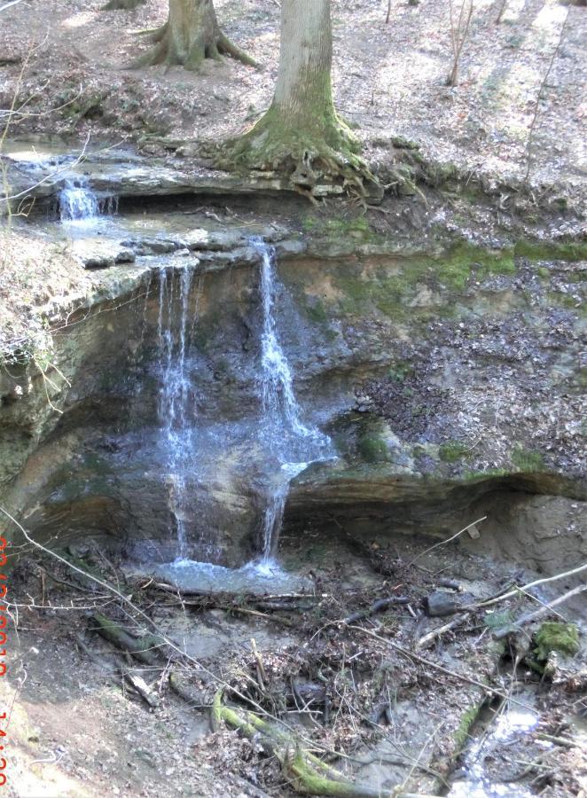 Ferien-Messe-Handwerkerwohnung-Haustiere Willkommen Lauf an der Pegnitz Exteriér fotografie